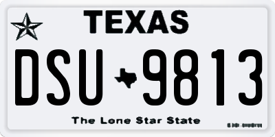 TX license plate DSU9813