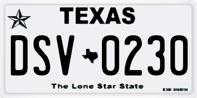 TX license plate DSV0230