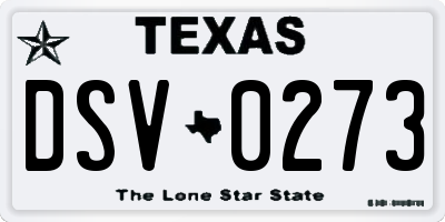 TX license plate DSV0273