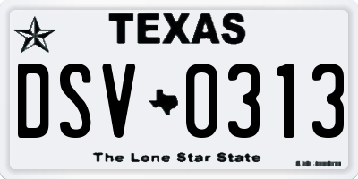 TX license plate DSV0313