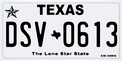TX license plate DSV0613