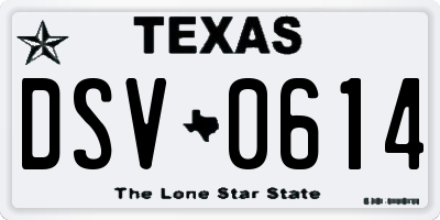 TX license plate DSV0614