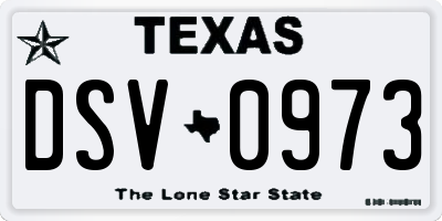 TX license plate DSV0973