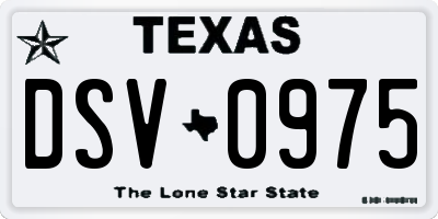 TX license plate DSV0975