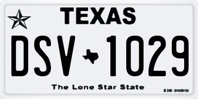 TX license plate DSV1029