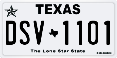 TX license plate DSV1101