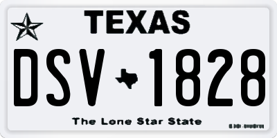 TX license plate DSV1828