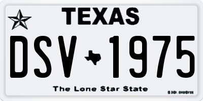TX license plate DSV1975