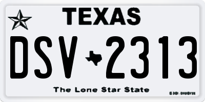 TX license plate DSV2313