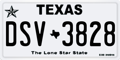 TX license plate DSV3828