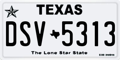 TX license plate DSV5313