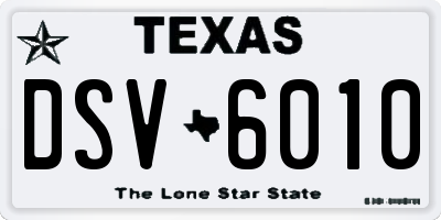 TX license plate DSV6010