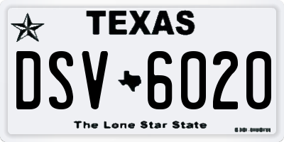 TX license plate DSV6020