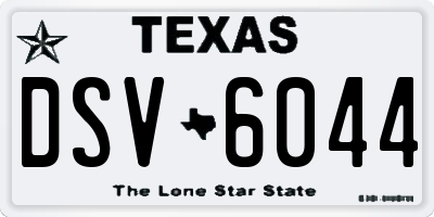 TX license plate DSV6044