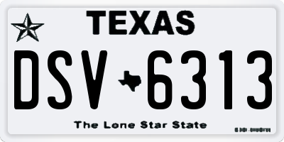 TX license plate DSV6313
