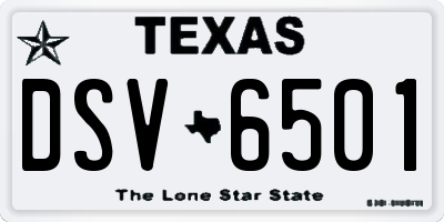 TX license plate DSV6501