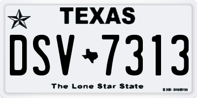 TX license plate DSV7313