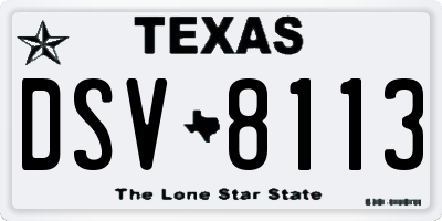 TX license plate DSV8113