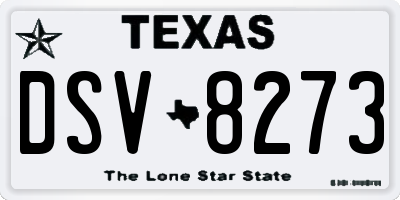 TX license plate DSV8273