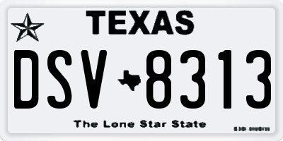 TX license plate DSV8313