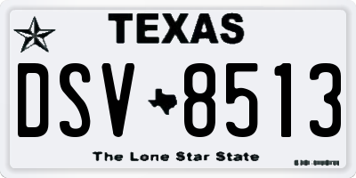 TX license plate DSV8513