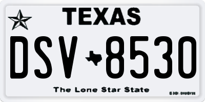 TX license plate DSV8530