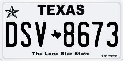 TX license plate DSV8673