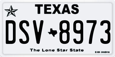 TX license plate DSV8973