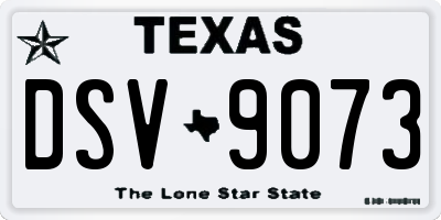 TX license plate DSV9073