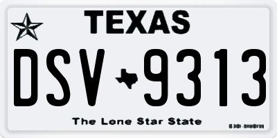 TX license plate DSV9313