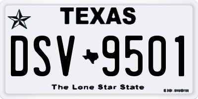 TX license plate DSV9501