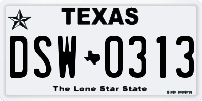 TX license plate DSW0313