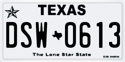 TX license plate DSW0613