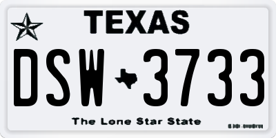 TX license plate DSW3733