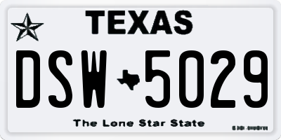 TX license plate DSW5029