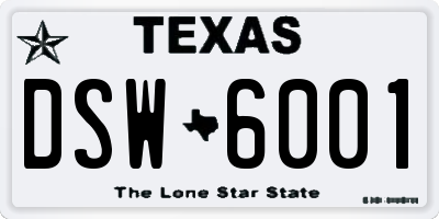 TX license plate DSW6001