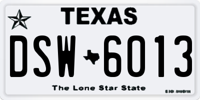 TX license plate DSW6013