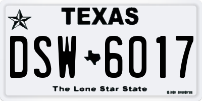 TX license plate DSW6017