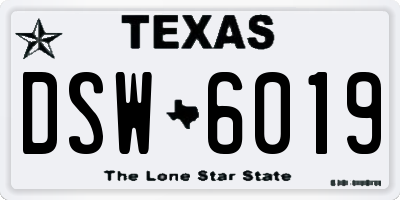 TX license plate DSW6019