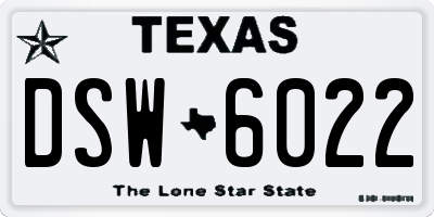 TX license plate DSW6022