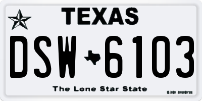 TX license plate DSW6103