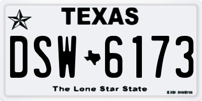 TX license plate DSW6173