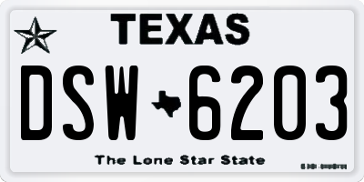 TX license plate DSW6203