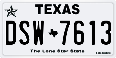 TX license plate DSW7613