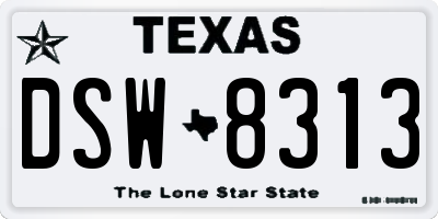 TX license plate DSW8313