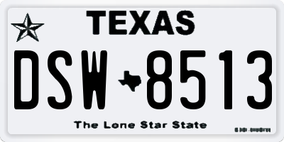 TX license plate DSW8513