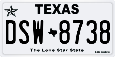 TX license plate DSW8738