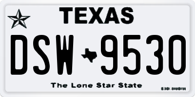 TX license plate DSW9530