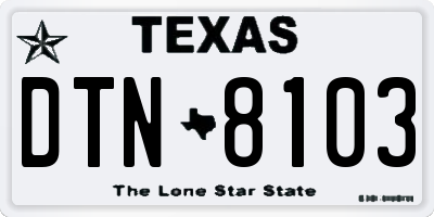 TX license plate DTN8103