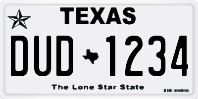 TX license plate DUD1234